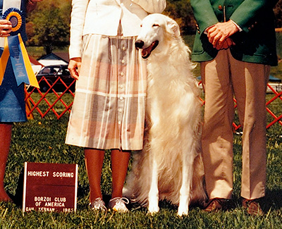 Top Obedience Borzoi 1985